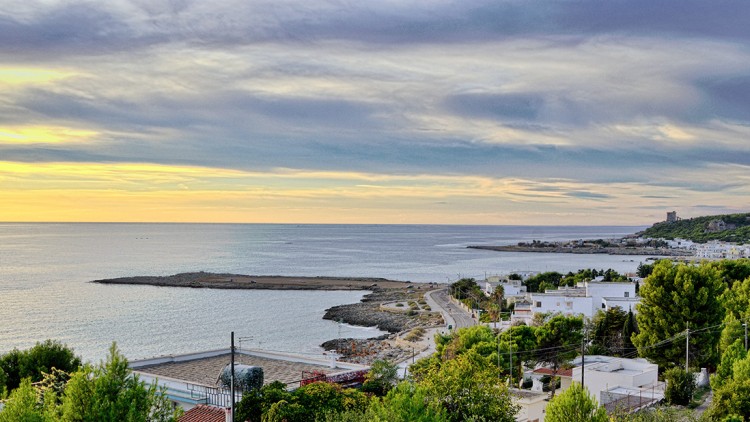 Panorama