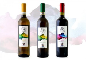 Vigna Maurisi